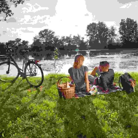 Ferienwohnung Rheinzabern - 4 Sterne Buitenkant foto
