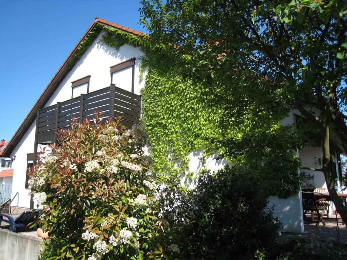 Ferienwohnung Rheinzabern - 4 Sterne Buitenkant foto